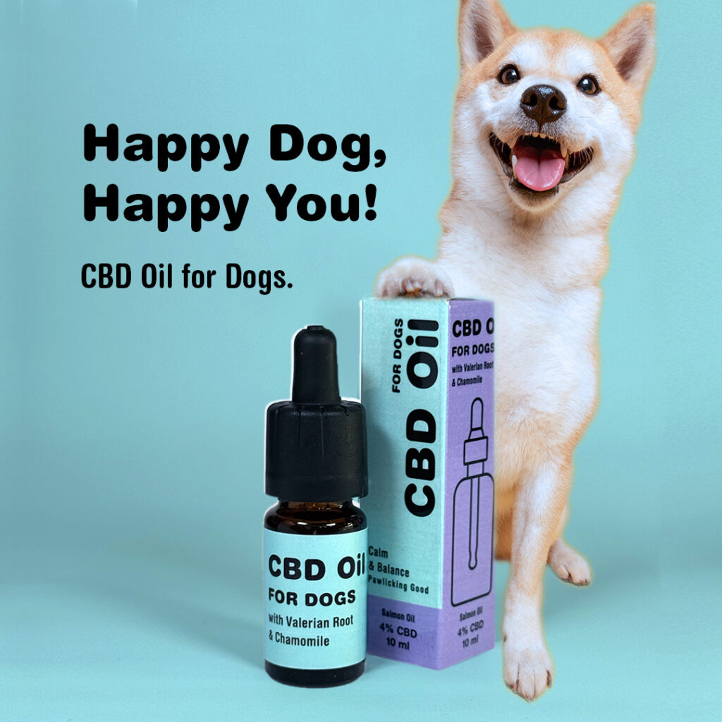 cbd for dogs